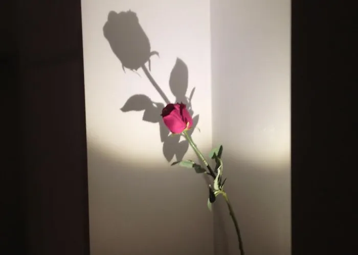 Apartment 23 Trieste