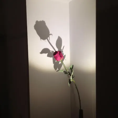 Apartamento 23 Trieste